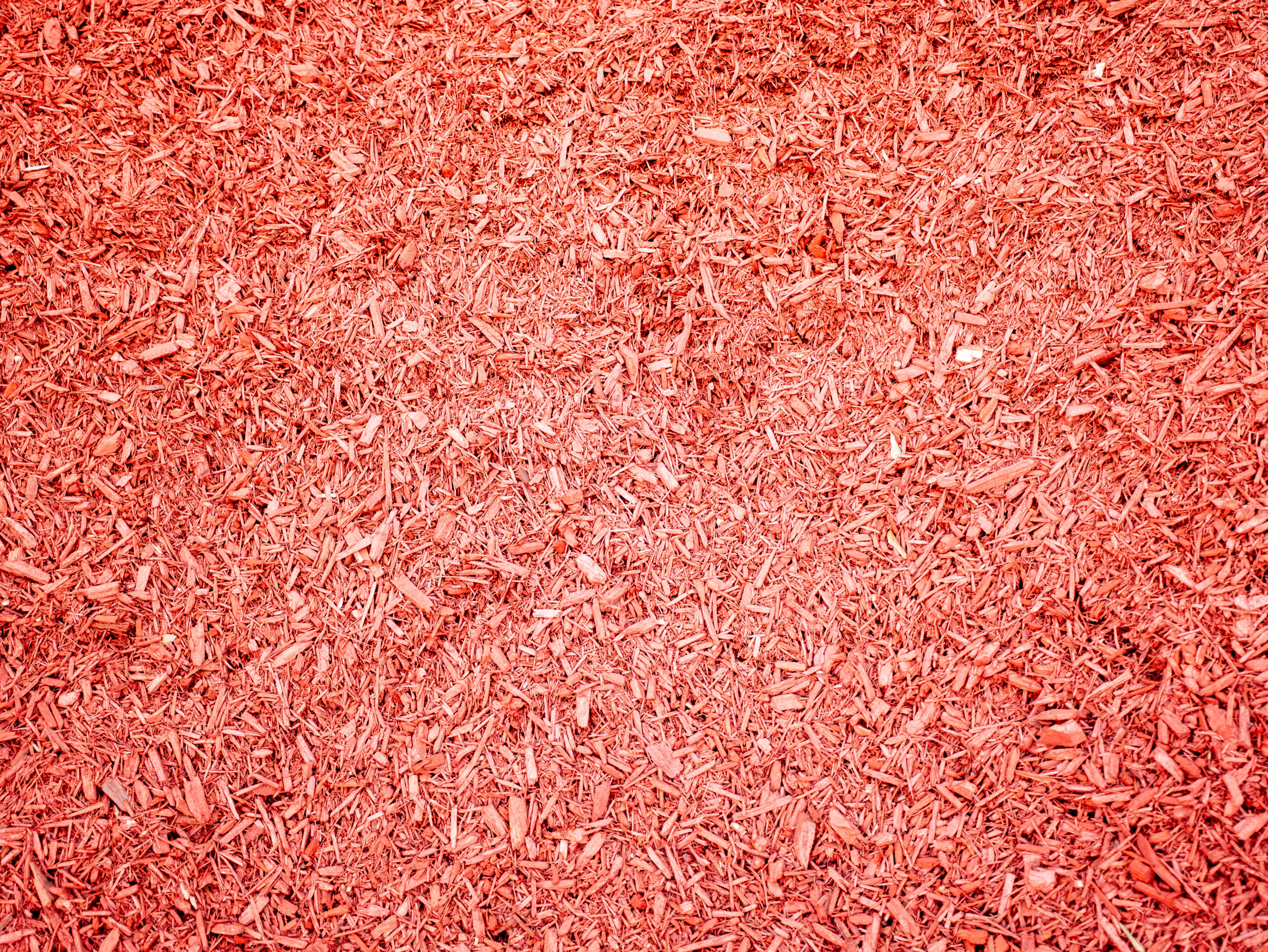 P1175322